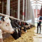 “Ag-gag” Law Ruled Unconstitutional in Iowa