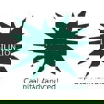 Over $1,000,000,000 in Capital Advanced to Plaintiff Lawyers!