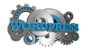 How to Make Your WordPress Website Work for You