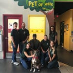 Team Hope Volunteers at the Nashville Humane Association