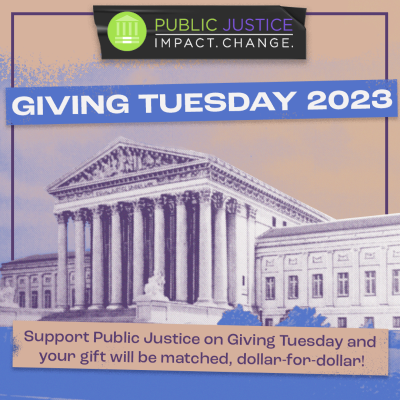 Giving Tuesday: Join us in Supporting Public Justice