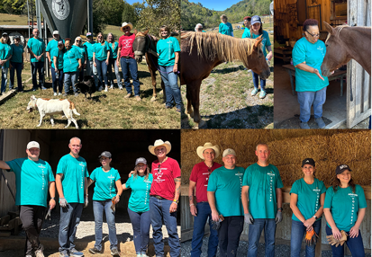 Advocate Capital Volunteers at Piccolo Farms Animal Sanctuary 2026