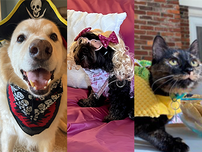 Advocate Capital's Second Annual Pet Costume Contest